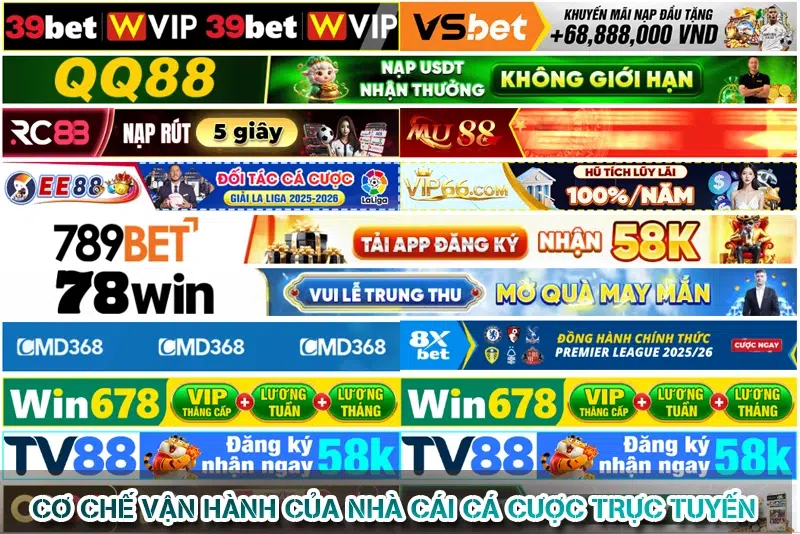 Cơ Chế Vận Hành Của Nhà Cái Cá Cược Trực Tuyến